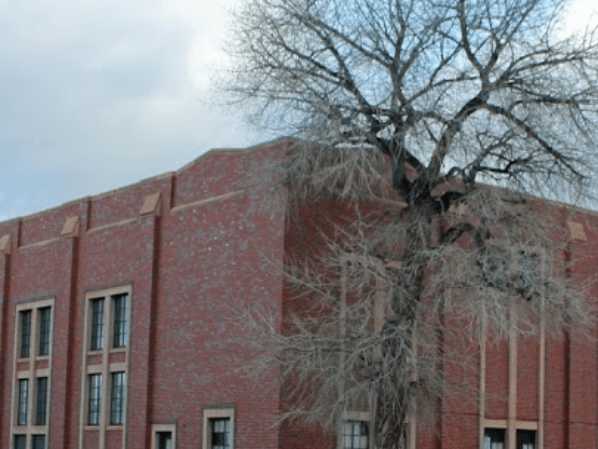 Wyoming Children's Law Center